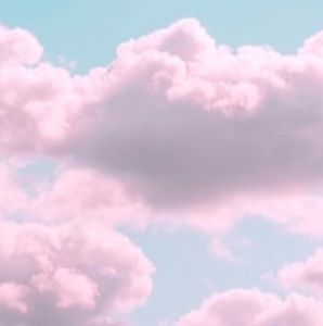 Meet your Posher, Anne